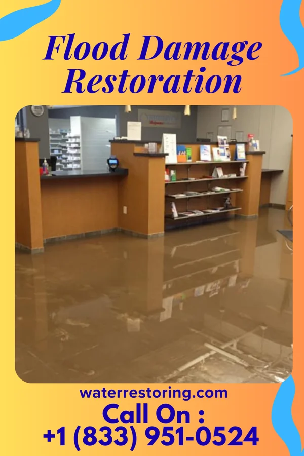 Flood Damage Restoration in Onamia, MN