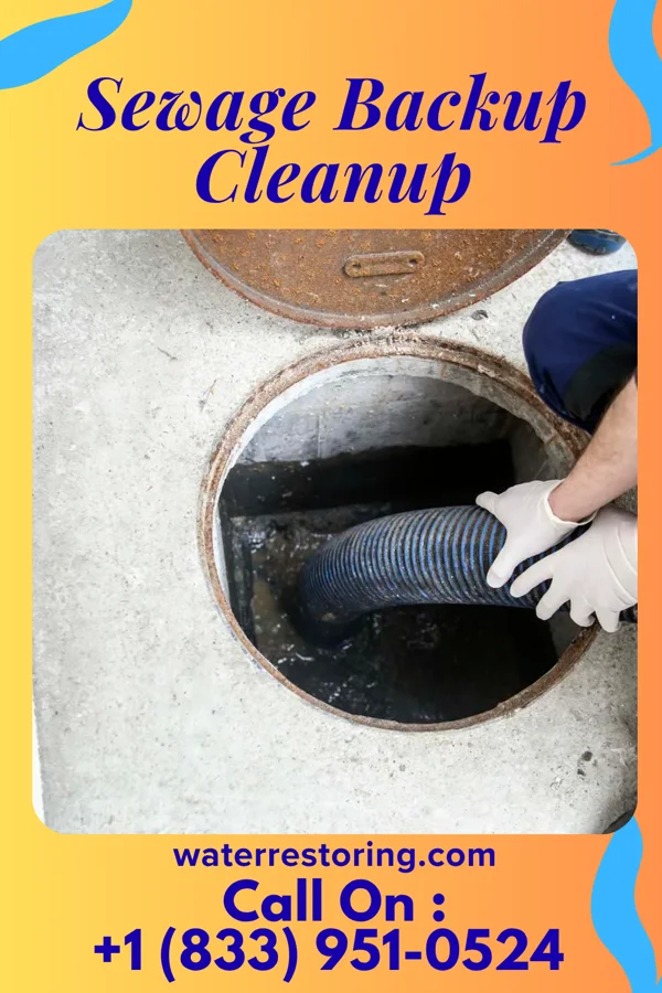 Sewage Backup Cleanup in Onamia, MN
