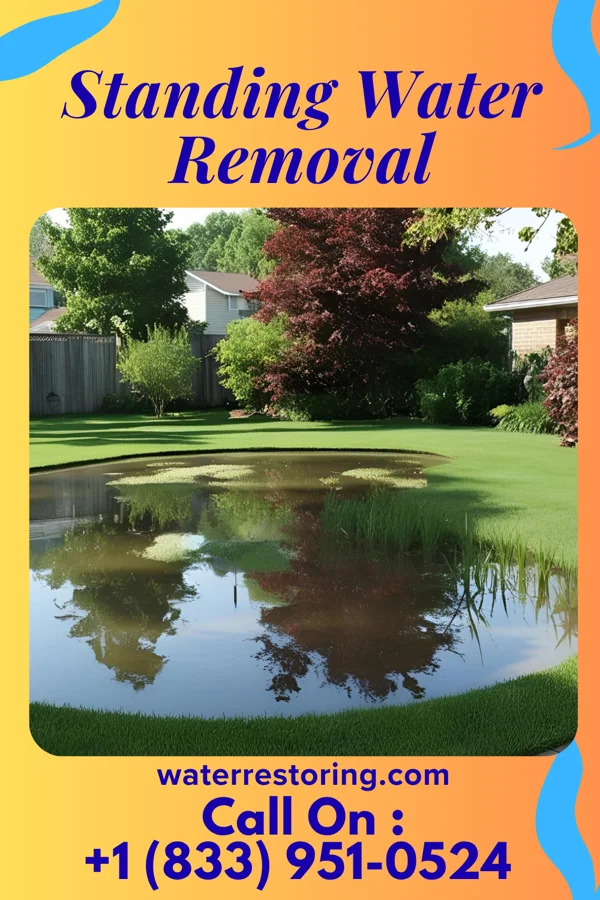 Standing Water Removal in Onamia, MN
